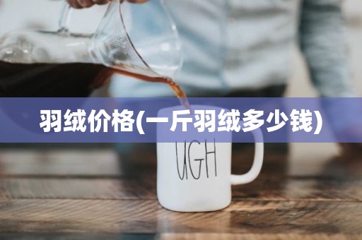 羽绒价格(一斤羽绒多少钱)