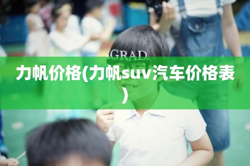 力帆价格(力帆suv汽车价格表)