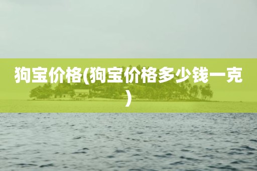 狗宝价格(狗宝价格多少钱一克)