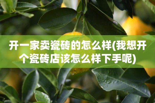 开一家卖瓷砖的怎么样(我想开个瓷砖店该怎么样下手呢)