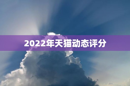 2022年天猫动态评分