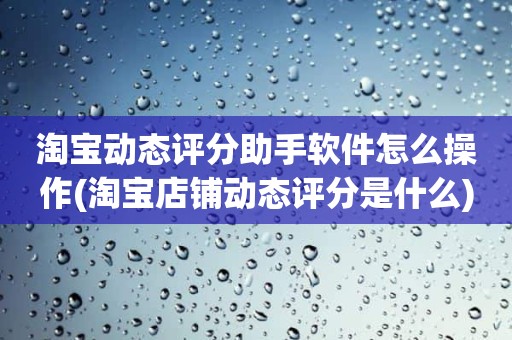 淘宝动态评分助手软件怎么操作(淘宝店铺动态评分是什么)