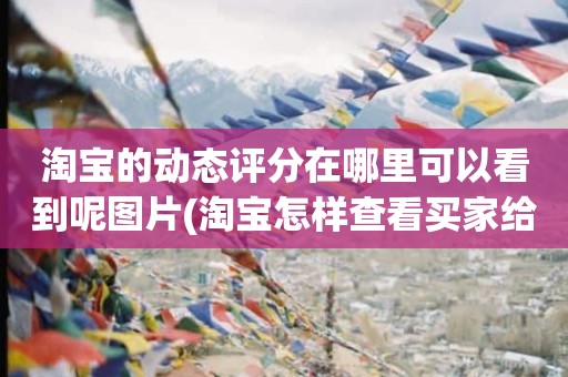 淘宝的动态评分在哪里可以看到呢图片(淘宝怎样查看买家给的动态评分)