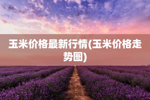 玉米价格最新行情(玉米价格走势图)