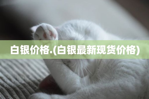 白银价格.(白银最新现货价格)