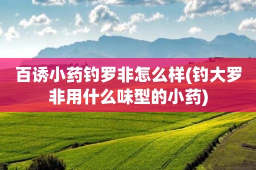 百诱小药钓罗非怎么样(钓大罗非用什么味型的小药)