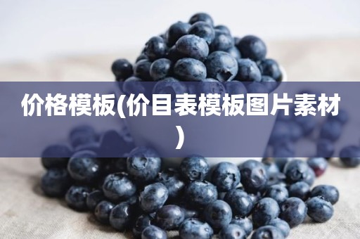价格模板(价目表模板图片素材)