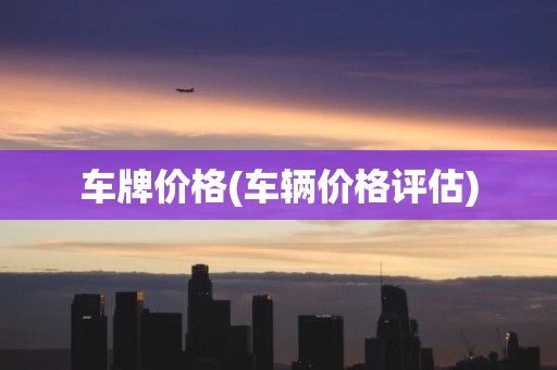 车牌价格(车辆价格评估)