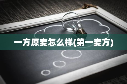 一方原麦怎么样(第一麦方)