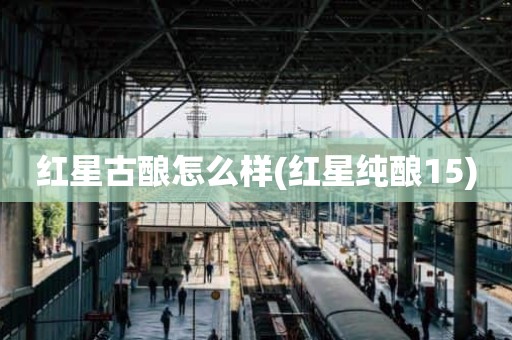 红星古酿怎么样(红星纯酿15)