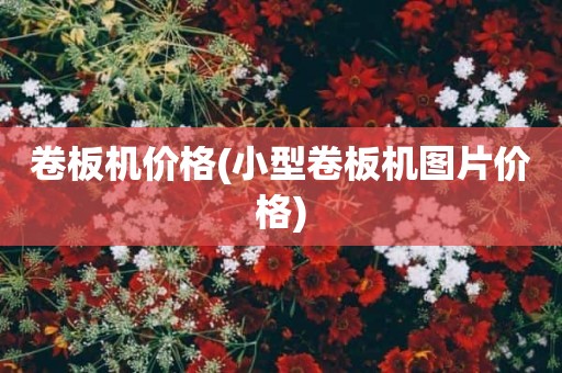 卷板机价格(小型卷板机图片价格)