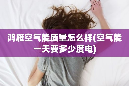 鸿雁空气能质量怎么样(空气能一天要多少度电)
