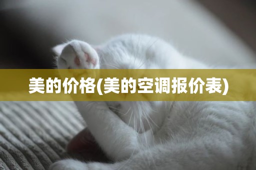 美的价格(美的空调报价表)