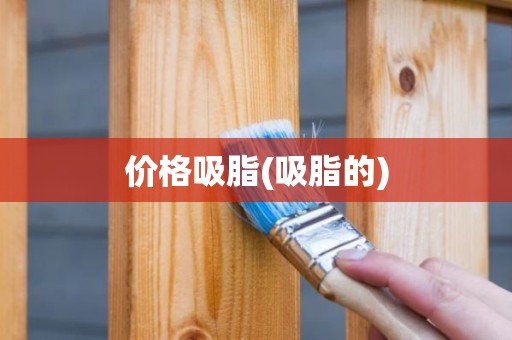 价格吸脂(吸脂的)