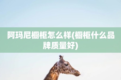 阿玛尼橱柜怎么样(橱柜什么品牌质量好)