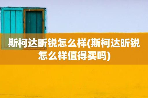 斯柯达昕锐怎么样(斯柯达昕锐怎么样值得买吗)