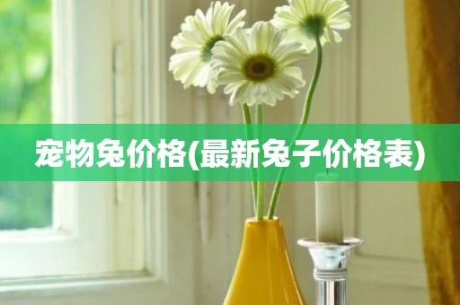 宠物兔价格(最新兔子价格表)