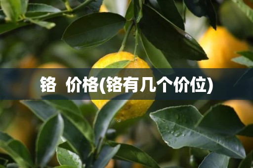 铬  价格(铬有几个价位)