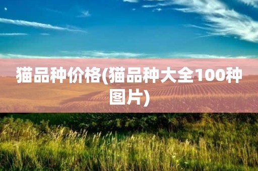 猫品种价格(猫品种大全100种图片)