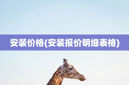 安装价格(安装报价明细表格)