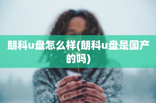 朗科u盘怎么样(朗科u盘是国产的吗)