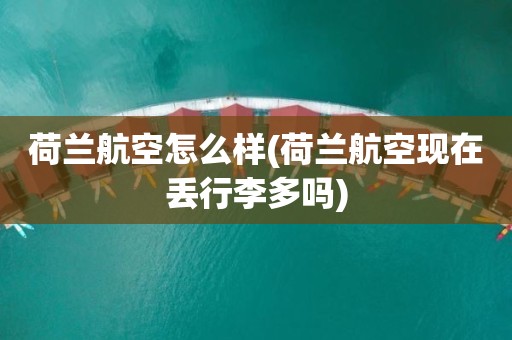 荷兰航空怎么样(荷兰航空现在丢行李多吗)