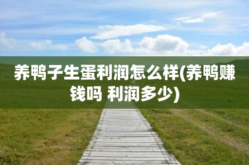 养鸭子生蛋利润怎么样(养鸭赚钱吗 利润多少)