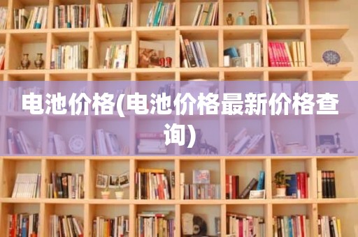 电池价格(电池价格最新价格查询)