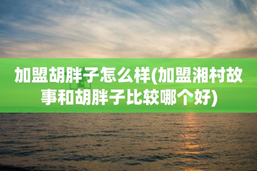 加盟胡胖子怎么样(加盟湘村故事和胡胖子比较哪个好)