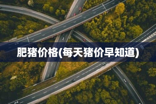 肥猪价格(每天猪价早知道)