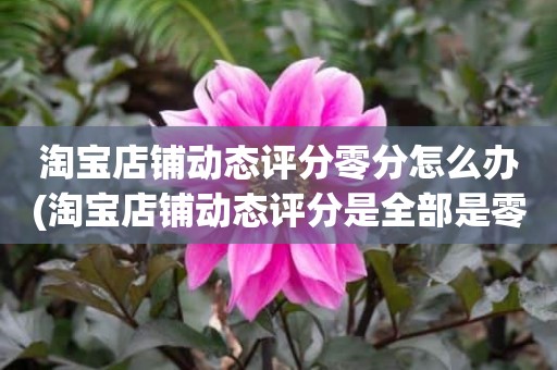 淘宝店铺动态评分零分怎么办(淘宝店铺动态评分是全部是零分这代表什么意思)