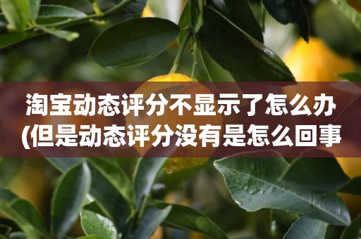 淘宝动态评分不显示了怎么办(但是动态评分没有是怎么回事)