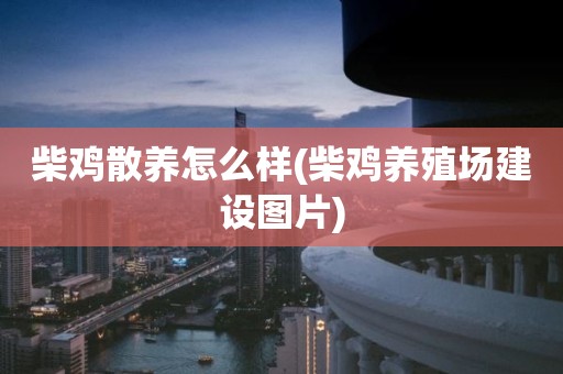 柴鸡散养怎么样(柴鸡养殖场建设图片)