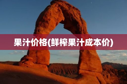 果汁价格(鲜榨果汁成本价)