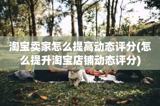 淘宝卖家怎么提高动态评分(怎么提升淘宝店铺动态评分)