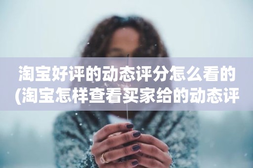 淘宝好评的动态评分怎么看的(淘宝怎样查看买家给的动态评分)