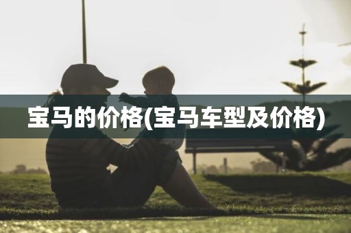 宝马的价格(宝马车型及价格)
