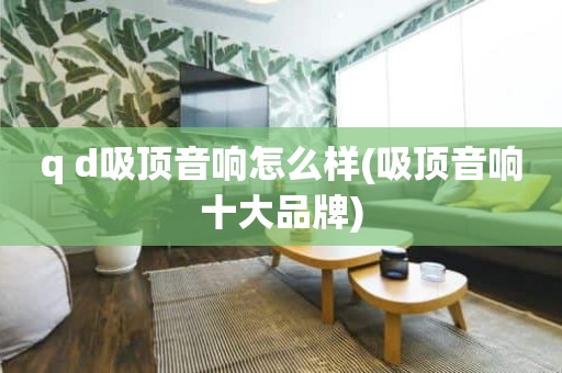 q d吸顶音响怎么样(吸顶音响十大品牌)