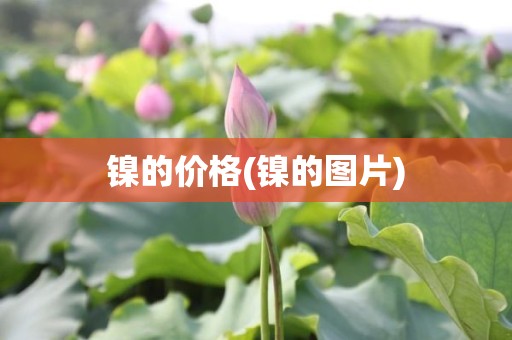 镍的价格(镍的图片)