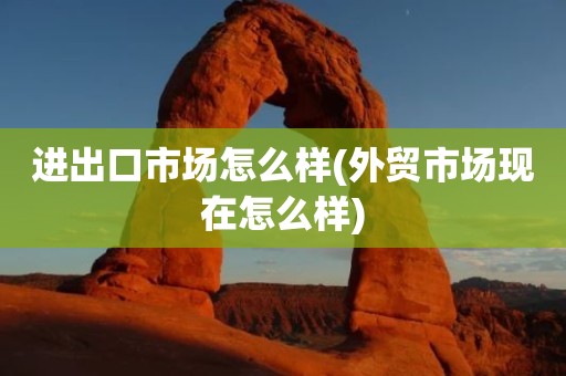 进出口市场怎么样(外贸市场现在怎么样)