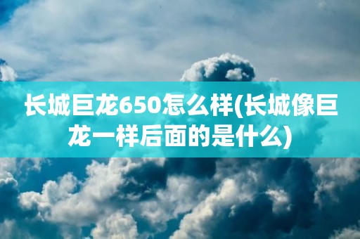 长城巨龙650怎么样(长城像巨龙一样后面的是什么)