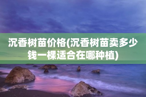 沉香树苗价格(沉香树苗卖多少钱一棵适合在哪种植)