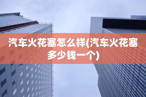 汽车火花塞怎么样(汽车火花塞多少钱一个)