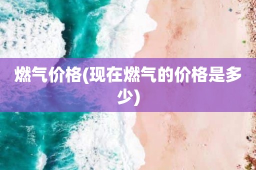 燃气价格(现在燃气的价格是多少)