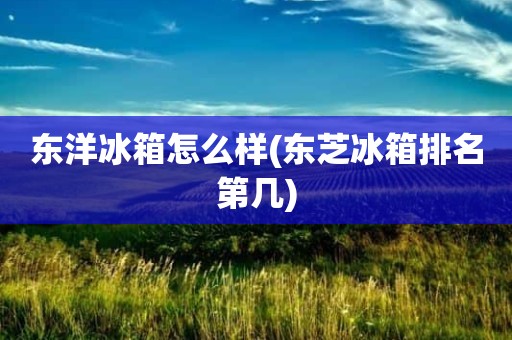 东洋冰箱怎么样(东芝冰箱排名第几)
