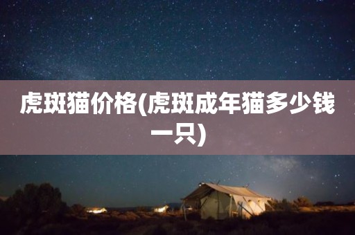 虎斑猫价格(虎斑成年猫多少钱一只)
