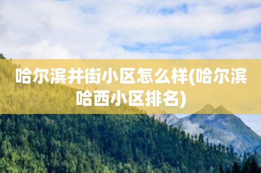 哈尔滨井街小区怎么样(哈尔滨哈西小区排名)