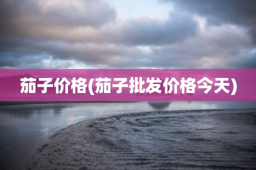 茄子价格(茄子批发价格今天)