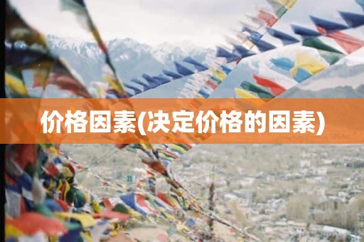 价格因素(决定价格的因素)