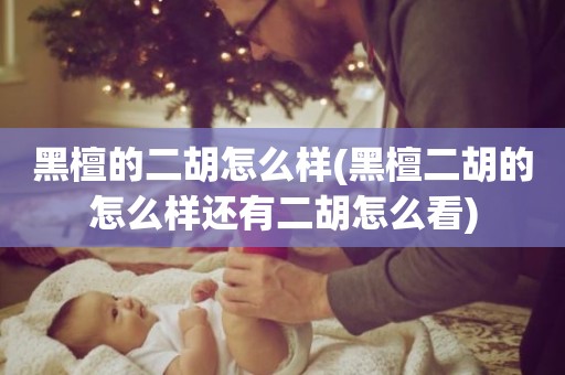 黑檀的二胡怎么样(黑檀二胡的怎么样还有二胡怎么看)